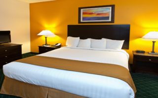 Single Queen Suite Bed